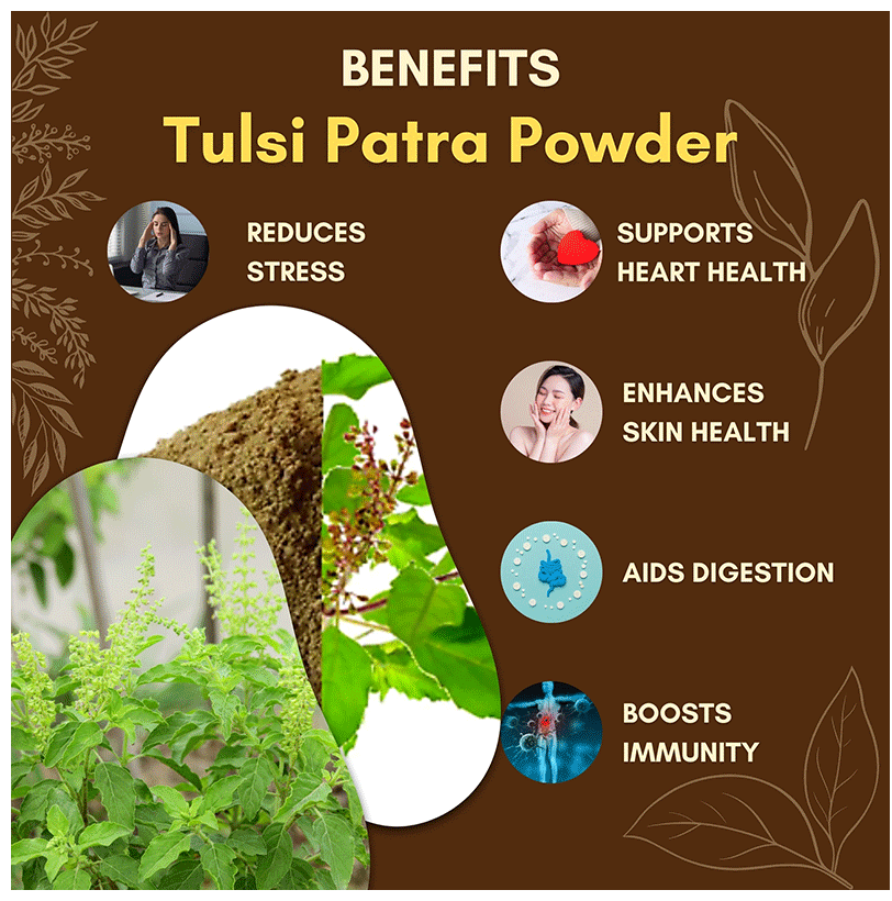 Jaived Ayurveda Tulsi Patra Powder | Grocsy