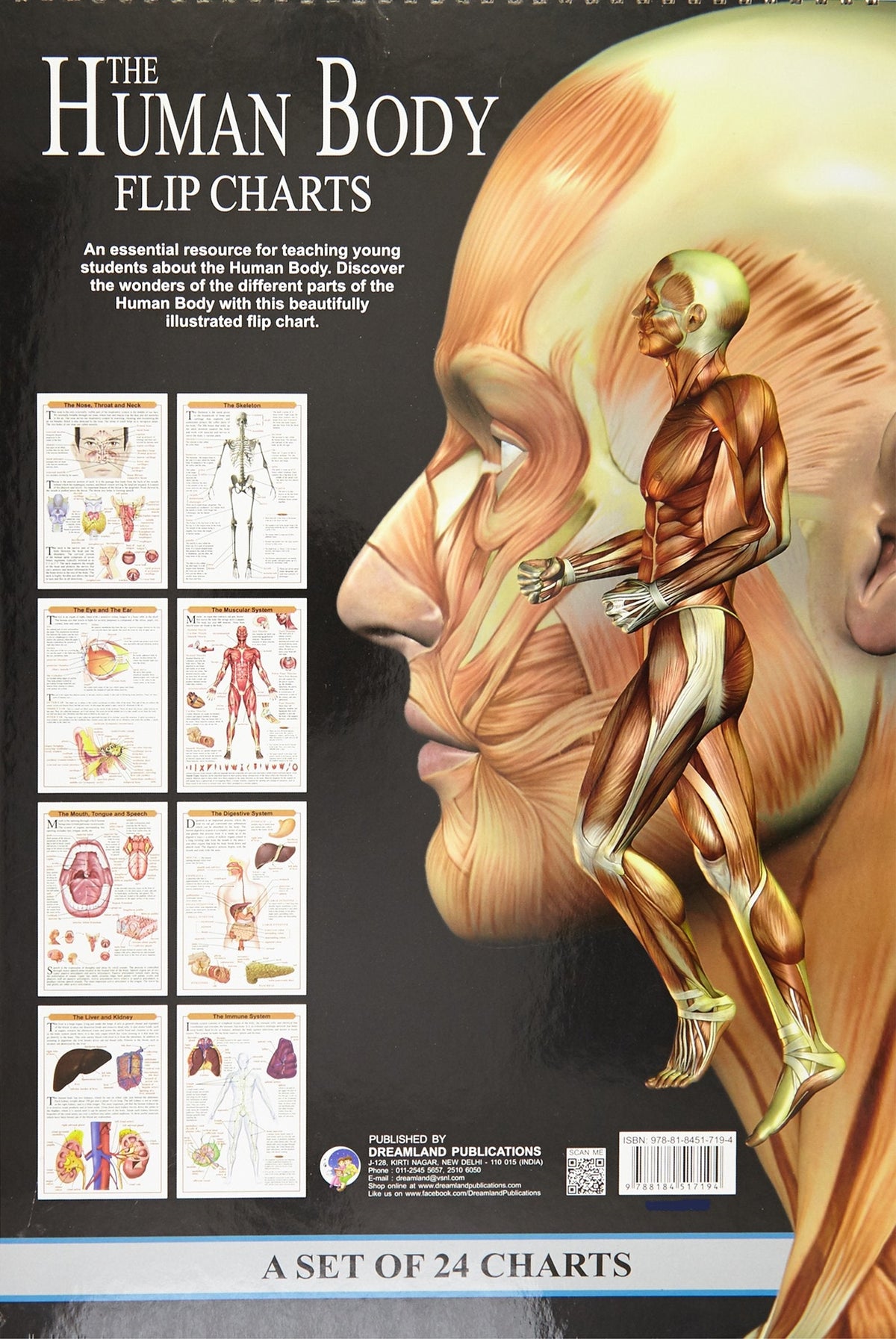 Dreamland The Human Body Flip Charts | Grocsy