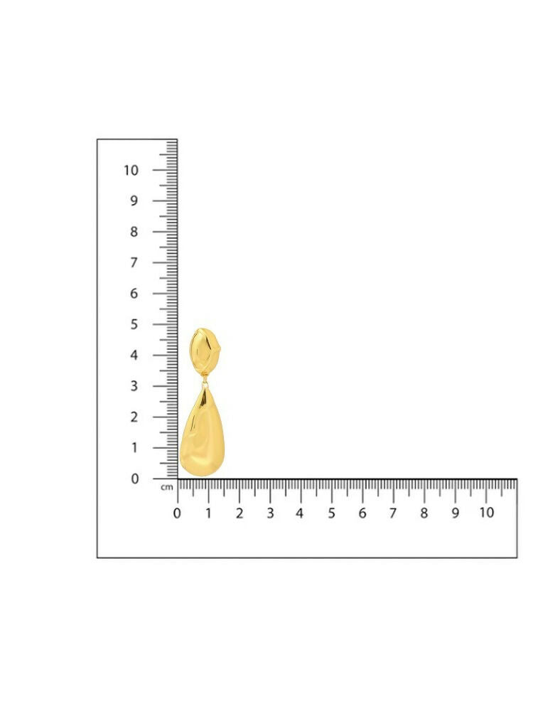 Golden Drop Earrings - Ruby Raang | Grocsy