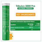 Naturyz Tribulus Terrestris 3000 Pro Gokshura Effervescent Tablets (Orange Flavour) | Grocsy
