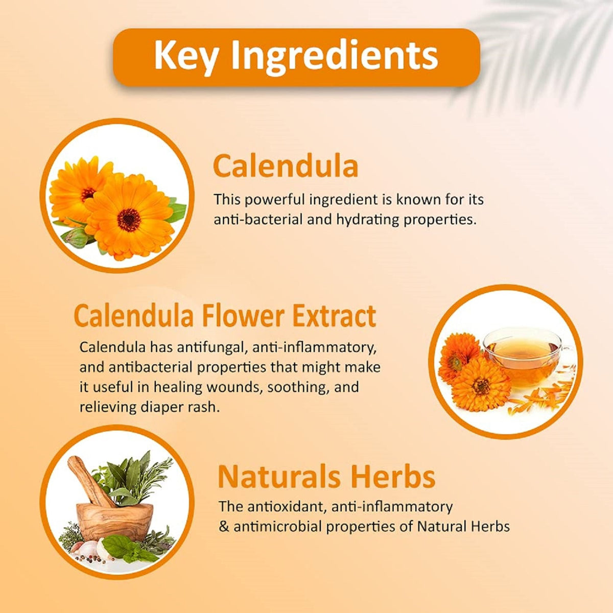 Omeo Calendula Body Wash Gentle Cleansing, Soft Nourshing Body Wash | Grocsy