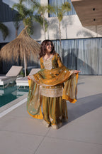 Lorenvalley Fashion Mehendi Fendy Chiffon with Zari Sequins Coding Embroidered work Kurta Palazzo with Dupatta | Grocsy