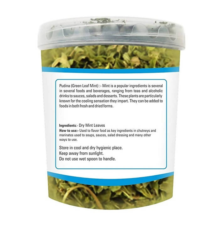 Zindagi Pudina Green Mint Dry Leaves | Grocsy