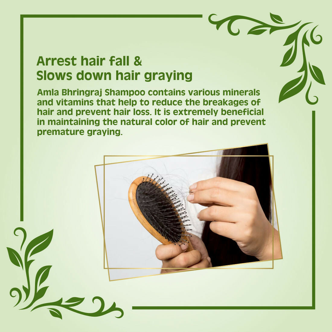Earth Science Ayurveda Amla & Bhringraj Shampoo | Grocsy