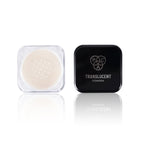 PAC Studio Translucent Powder - 02 | Grocsy
