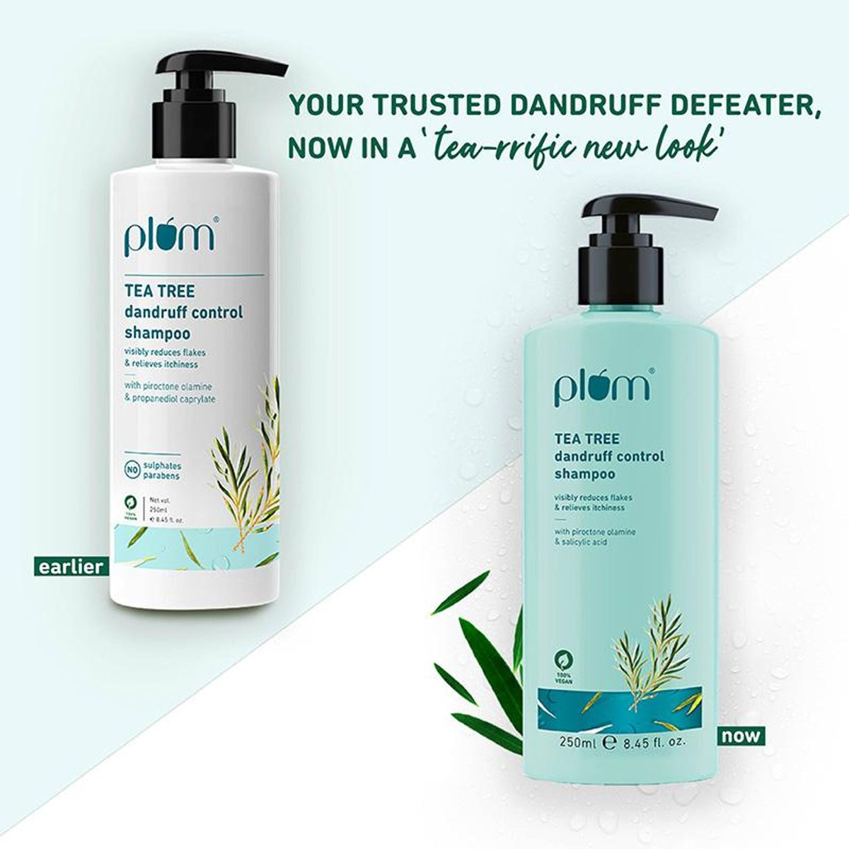 Plum Tea Tree Dandruff Control Shampoo, Paraben-Free with Piroctone Olamine | Grocsy