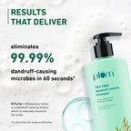 Plum Tea Tree Dandruff Control Shampoo, Paraben-Free with Piroctone Olamine | Grocsy