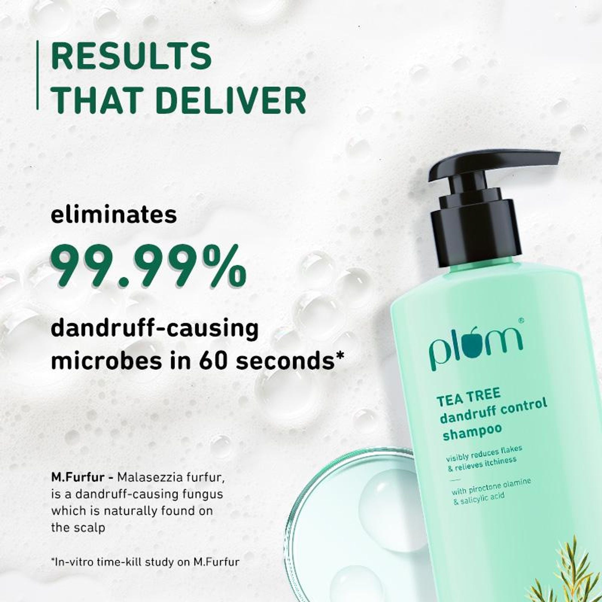 Plum Tea Tree Dandruff Control Shampoo, Paraben-Free with Piroctone Olamine | Grocsy