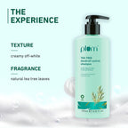 Plum Tea Tree Dandruff Control Shampoo, Paraben-Free with Piroctone Olamine | Grocsy