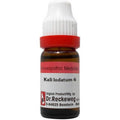 Dr. Reckeweg Kali Iodatum Dilution | Grocsy