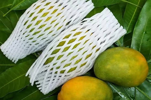 Nuziveedu Chinna Rasalu Mangoes | Grocsy
