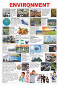 Dreamland Publications Educational Chart for Kids - Environment | Grocsy