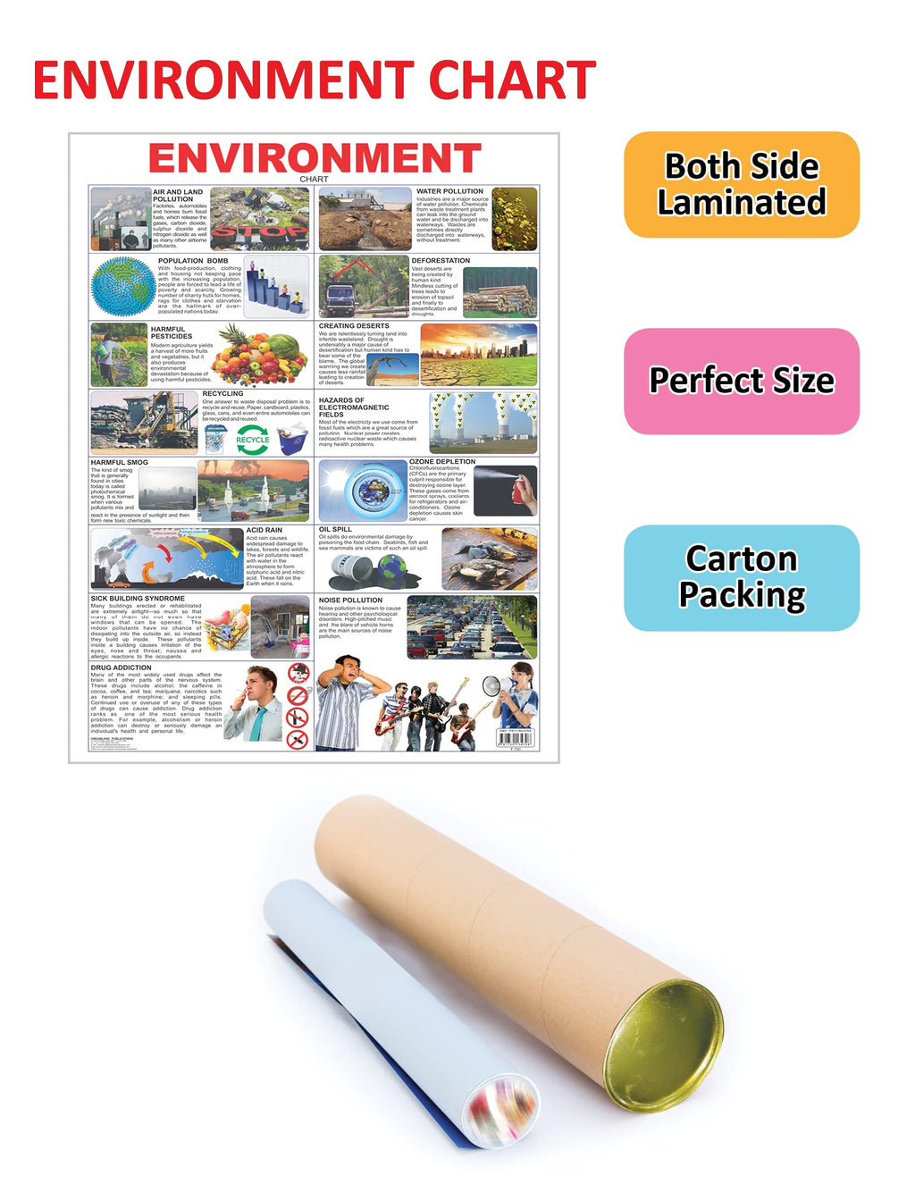 Dreamland Publications Educational Chart for Kids - Environment | Grocsy