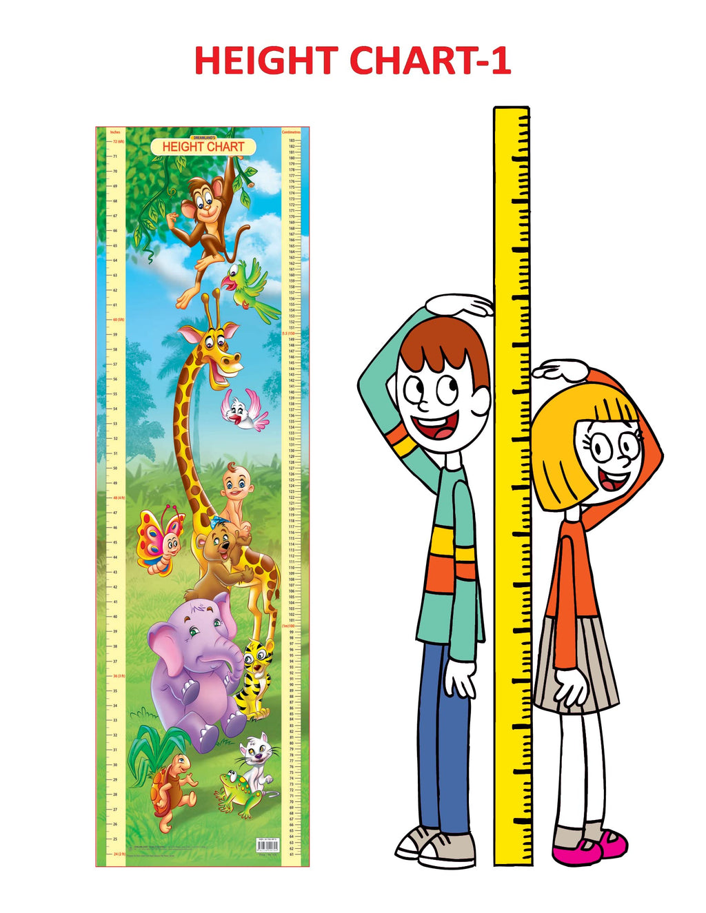 Dreamland Publications Educational Chart for Kids - Height Chart - 1 | Grocsy