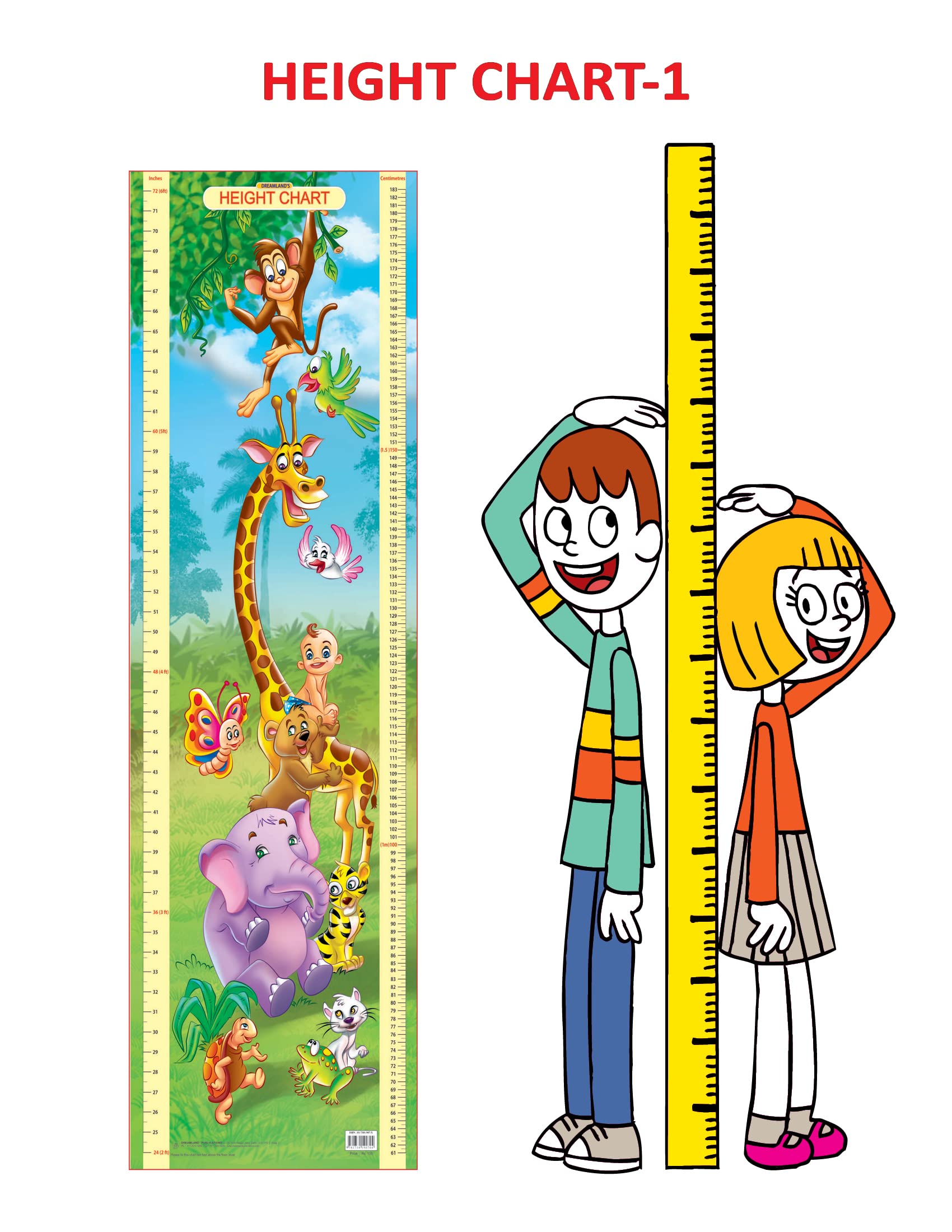 Dreamland Publications Educational Chart for Kids - Height Chart - 1 | Grocsy