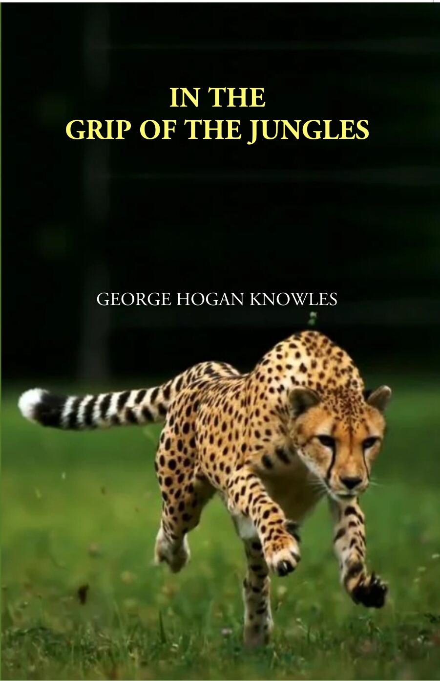 In The Grip Of The Jungles - Gyan Books | Grocsy