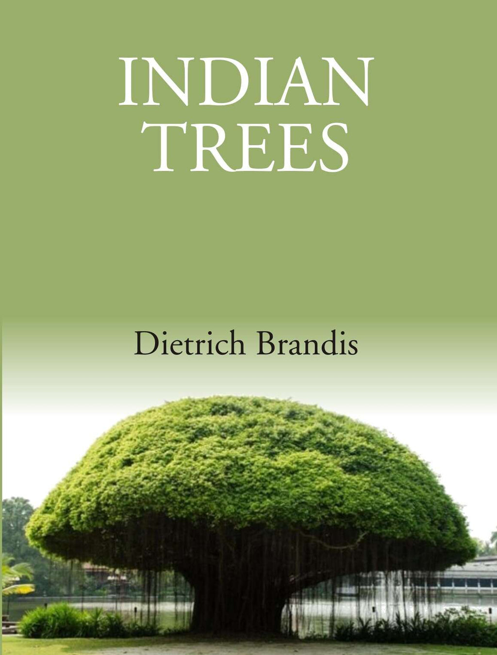 Indian Trees: An Account Of Trees, Shrubs, Woody Climbers, Bamboos And Palms Indigenous Or Commonly - Gyan Books | Grocsy