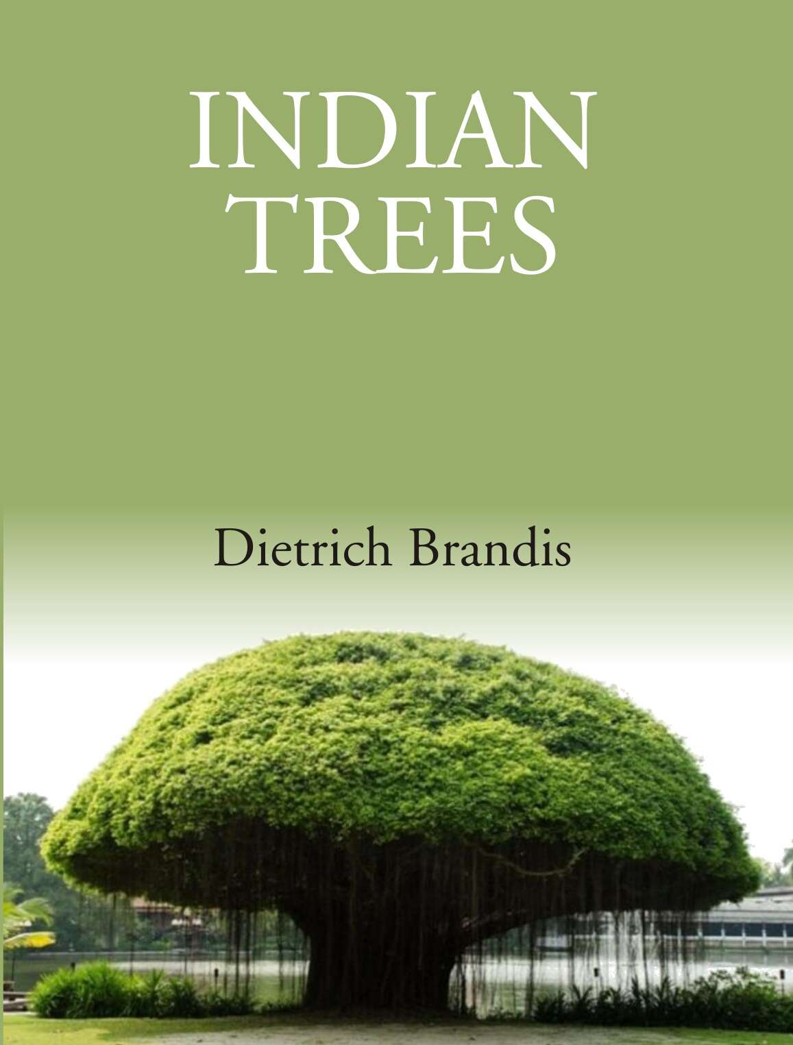 Indian Trees: An Account Of Trees, Shrubs, Woody Climbers, Bamboos And Palms Indigenous Or Commonly - Gyan Books | Grocsy