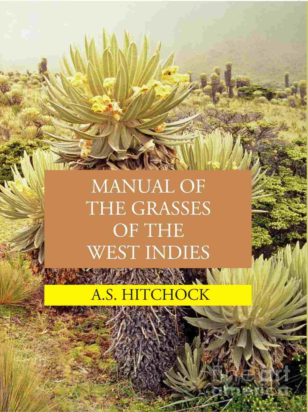 Manual Of The Grasses Of The West Indies - Gyan Books | Grocsy