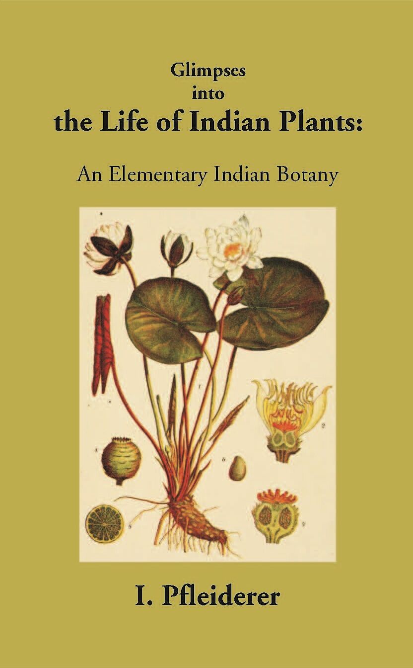 Glimpses Into The Life Of Indian Plants An Elementary Indian Botany - Gyan Books | Grocsy