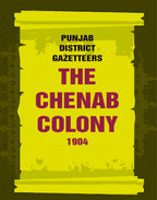 Punjab District Gazetteers: The Chenab Colony 1904 31st - Gyan Books | Grocsy