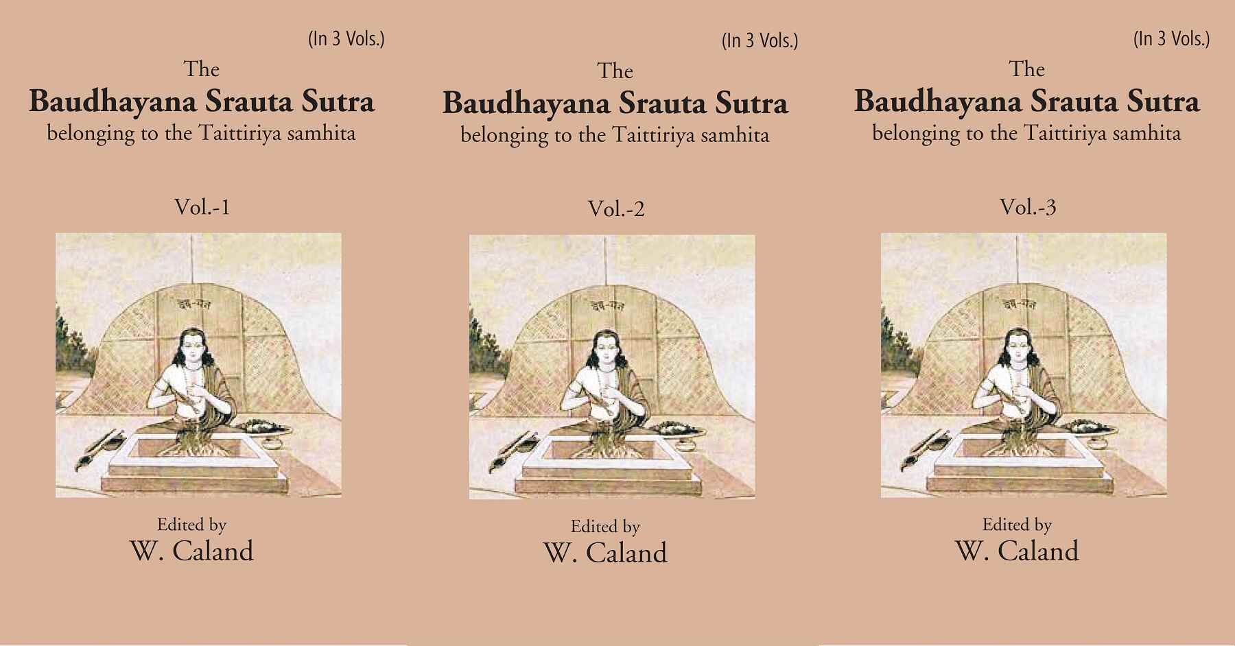 The Baudhayana Srauta Sutra 3 Vols. Set - Gyan Books | Grocsy