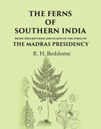 The Ferns of Southern India Being descriptions and plates of the ferns of the Madras Presidency - Gyan Books | Grocsy