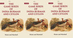 The Game Birds of India Burmah And Ceylon 3 Vols. Set - Gyan Books | Grocsy