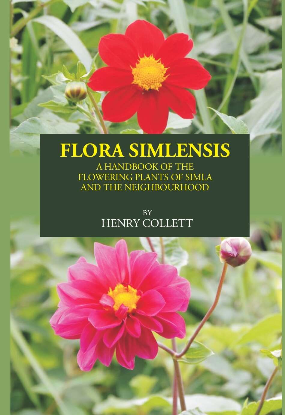 FLORA SIMLENSIS: A HANDBOOK OF THE FLOWERING PLANTS OF SIMLA AND THE NEIGHBOURHOOD - Gyan Books | Grocsy