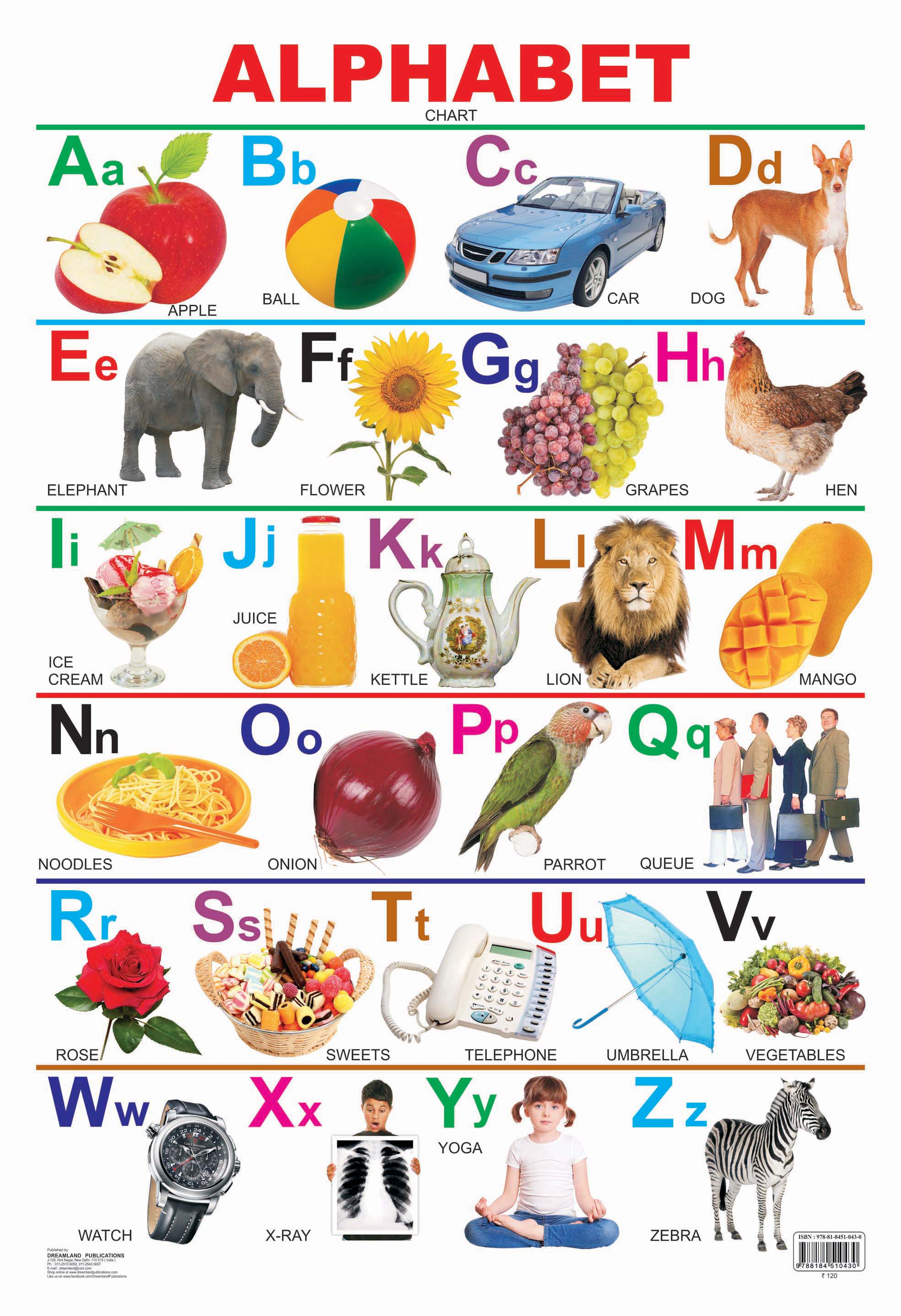 Dreamland Publications Educational Chart for Kids - Alphabet | Grocsy