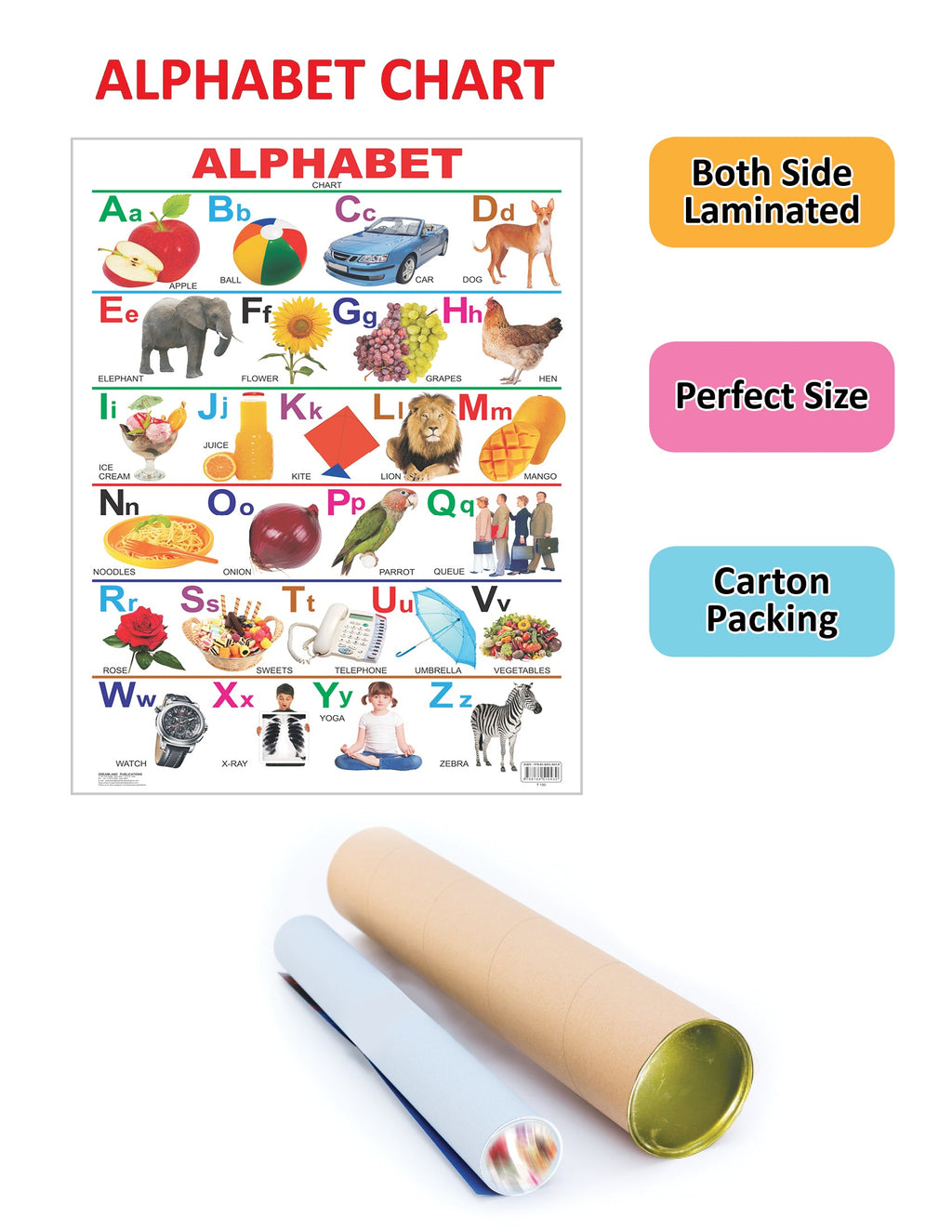 Dreamland Publications Educational Chart for Kids - Alphabet | Grocsy