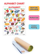 Dreamland Publications Educational Chart for Kids - Alphabet | Grocsy