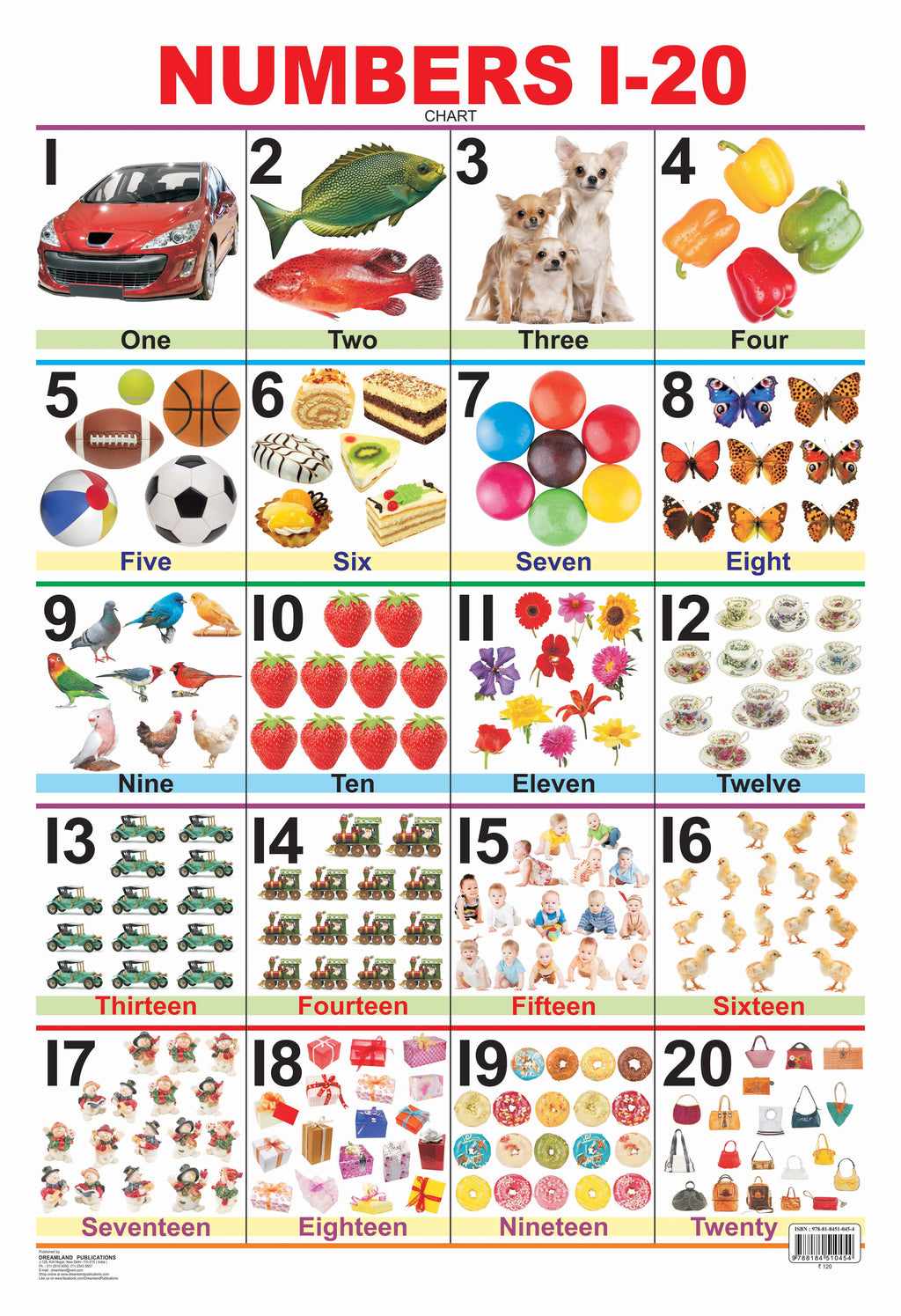 Dreamland Publications Educational Chart for Kids - Numbers 1-20 | Grocsy