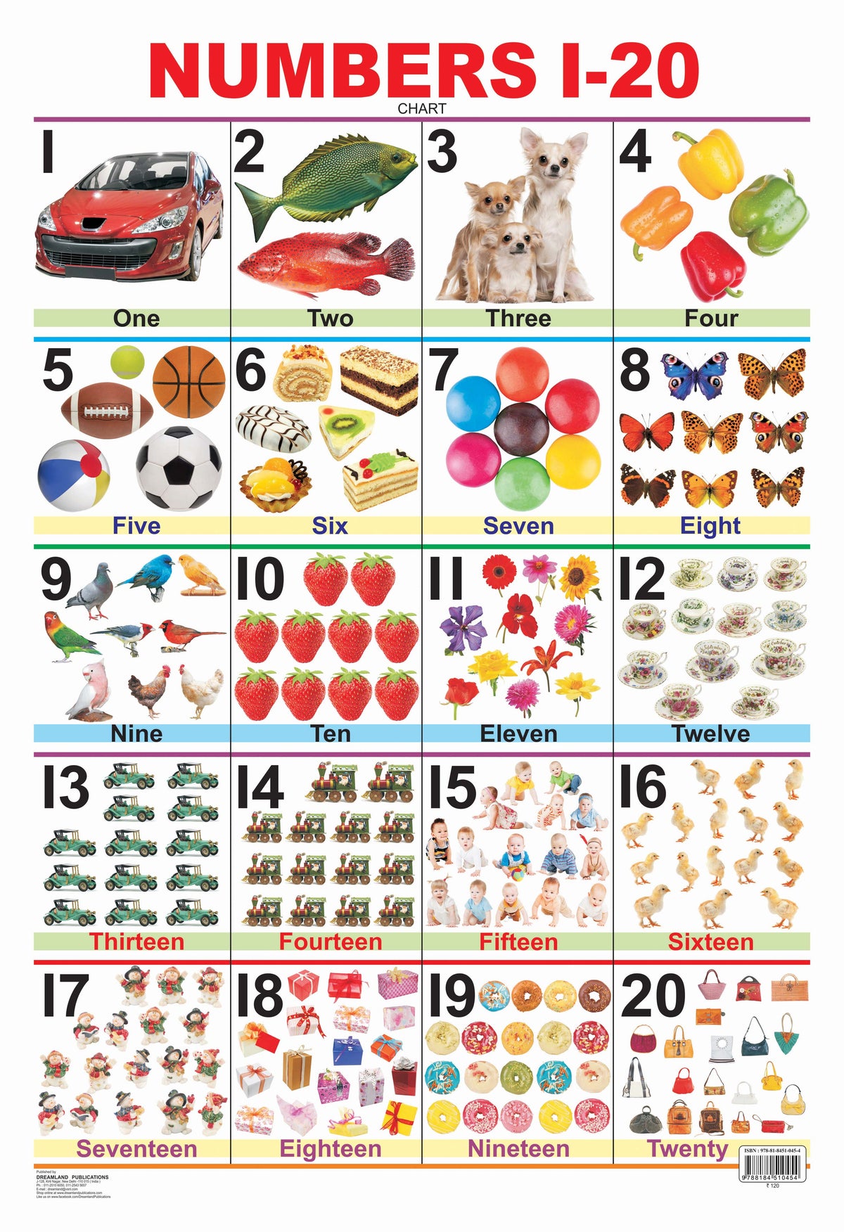 Dreamland Publications Educational Chart for Kids - Numbers 1-20 | Grocsy