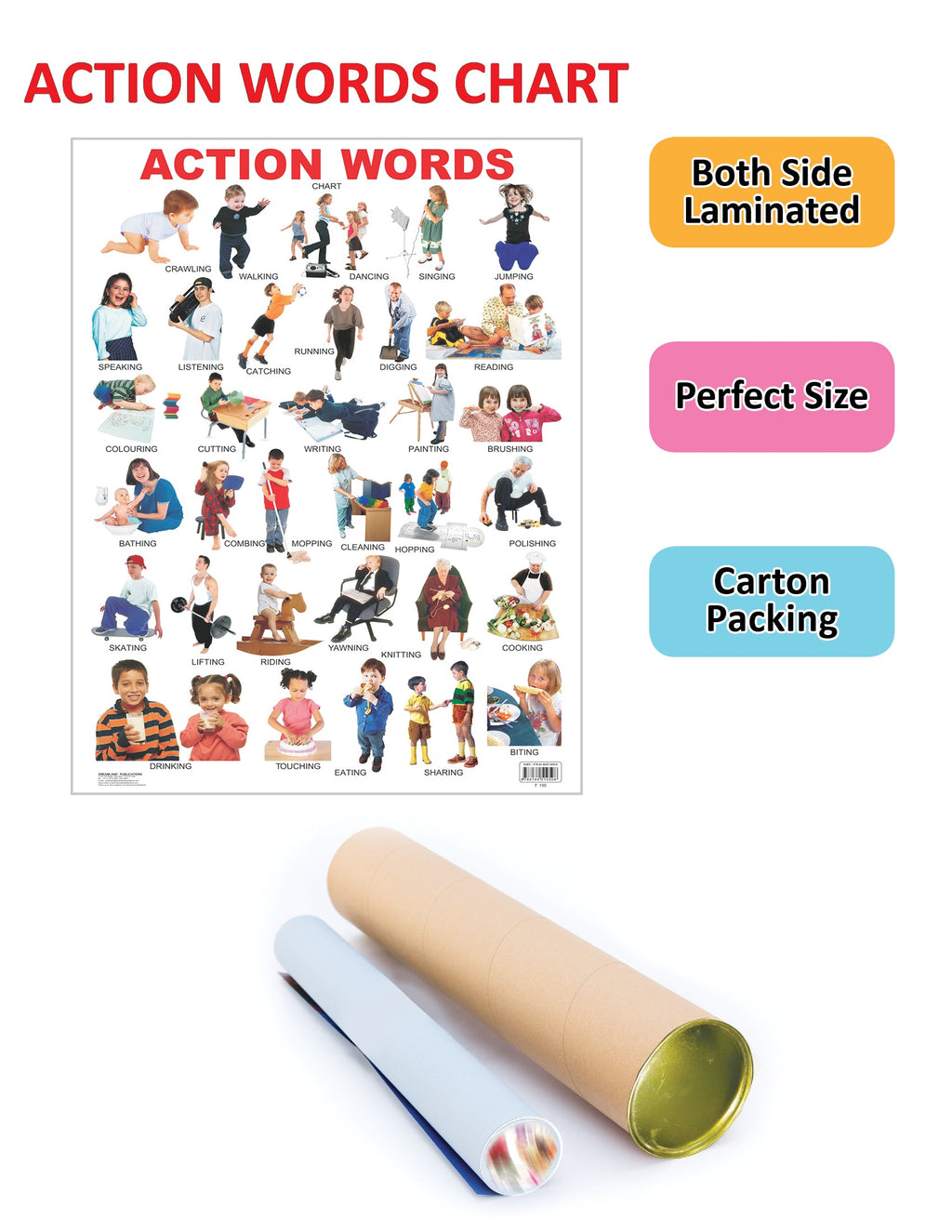Dreamland Publications Educational Chart for Kids - Action Words | Grocsy