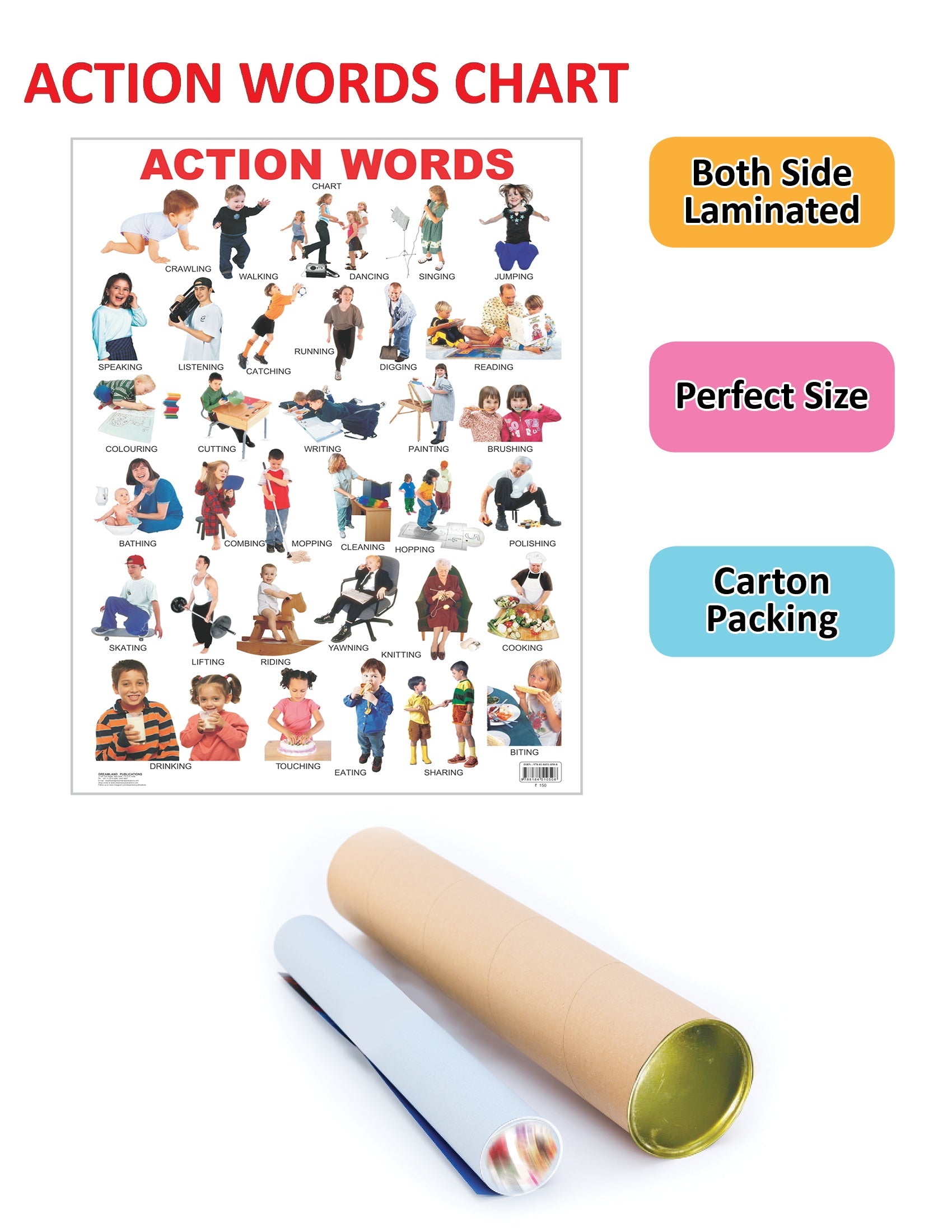 Dreamland Publications Educational Chart for Kids - Action Words | Grocsy