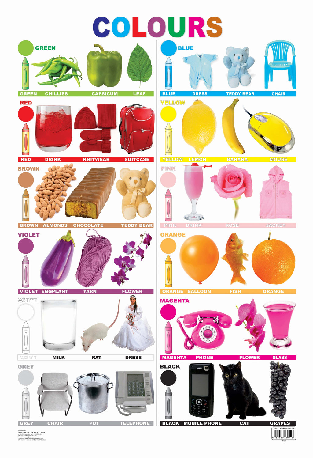 Dreamland Publications Educational Chart for Kids - Colours | Grocsy