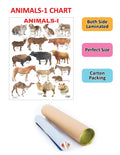 Dreamland Publications Educational Chart for Kids - Animals-1 | Grocsy