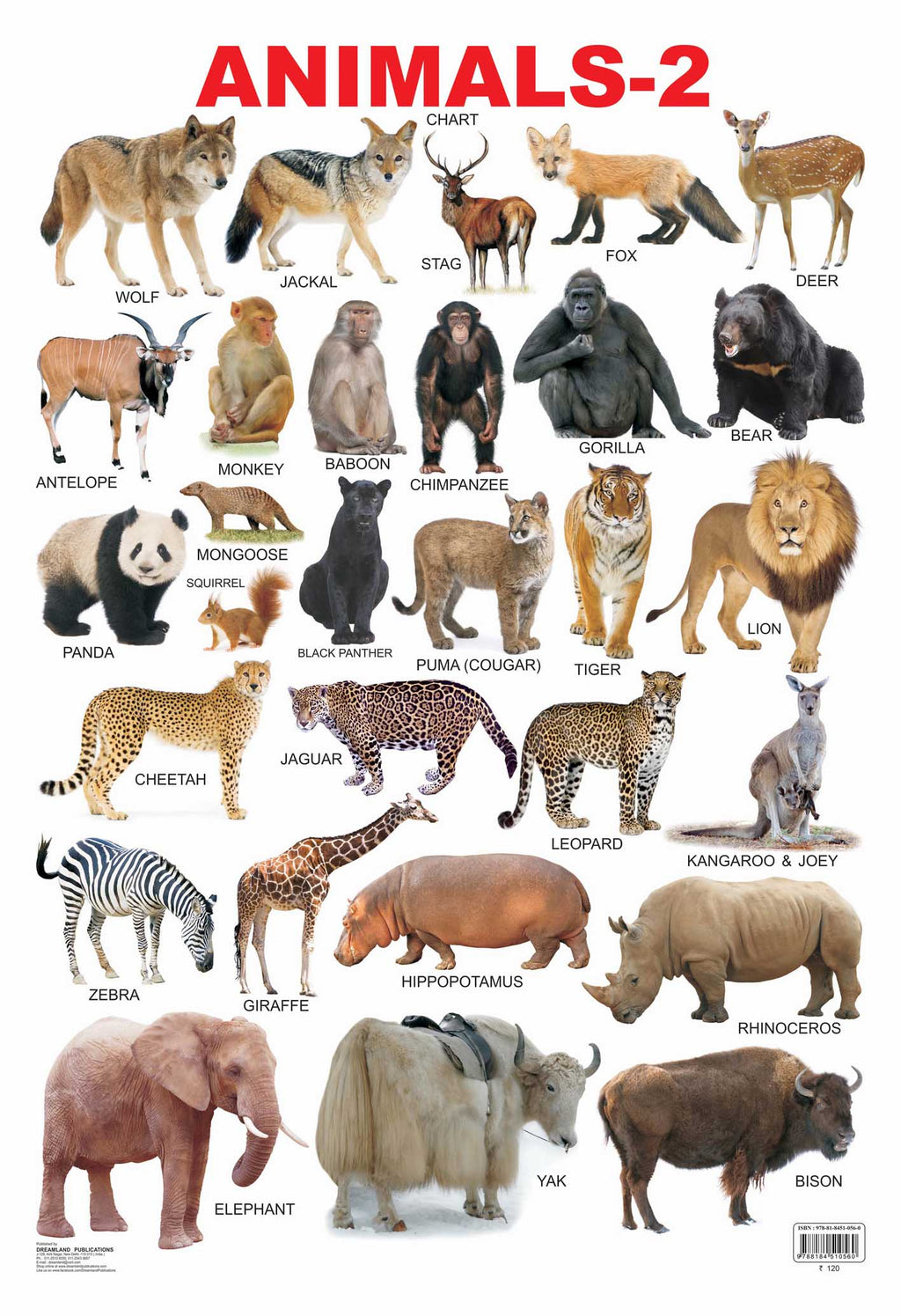 Dreamland Publications Educational Chart for Kids - Animals-2 | Grocsy