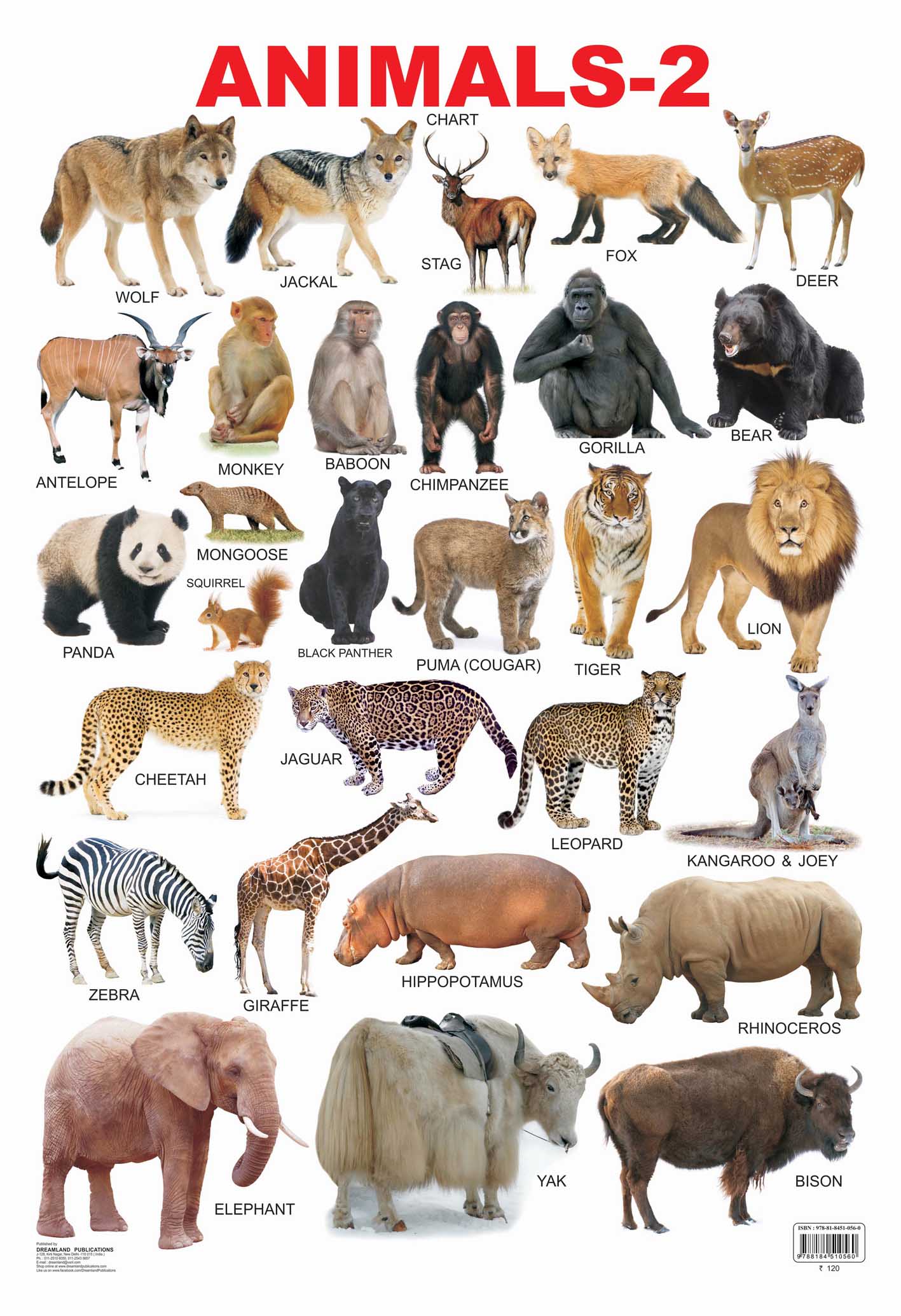 Dreamland Publications Educational Chart for Kids - Animals-2 | Grocsy