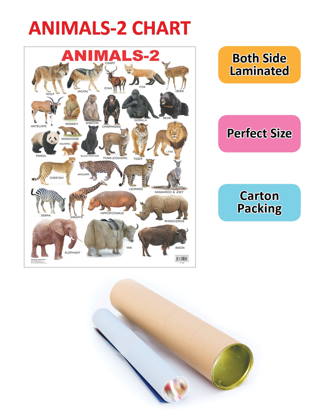 Dreamland Publications Educational Chart for Kids - Animals-2 | Grocsy
