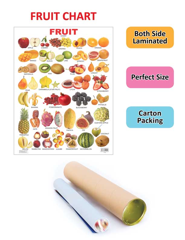 Dreamland Publications Educational Chart for Kids - Fruits (All in One) | Grocsy