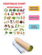 Dreamland Publications Educational Chart for Kids - Vegetables | Grocsy