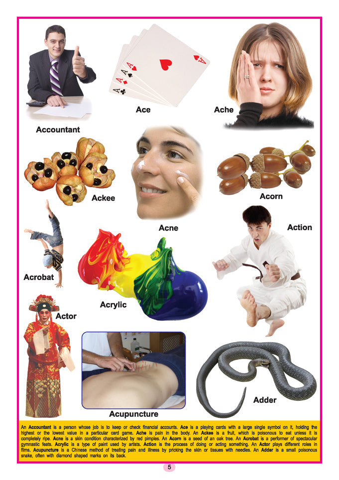 Dreamland Publications Kids Third Dictionary of 2000 words : Children Early Learning Book | Grocsy