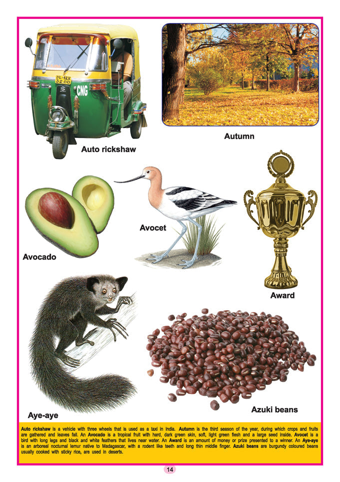 Dreamland Publications Kids Third Dictionary of 2000 words : Children Early Learning Book | Grocsy
