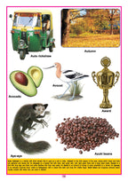 Dreamland Publications Kids Third Dictionary of 2000 words : Children Early Learning Book | Grocsy