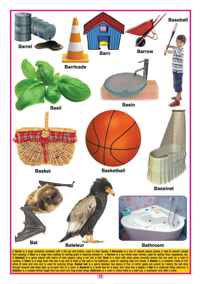 Dreamland Publications Kids Third Dictionary of 2000 words : Children Early Learning Book | Grocsy