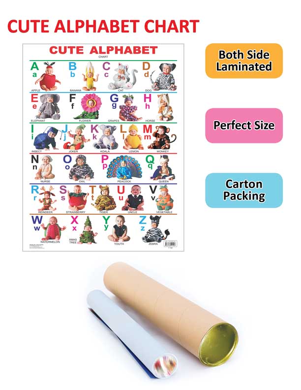 Dreamland Publications Educational Chart for Kids - Cute Alphabet | Grocsy