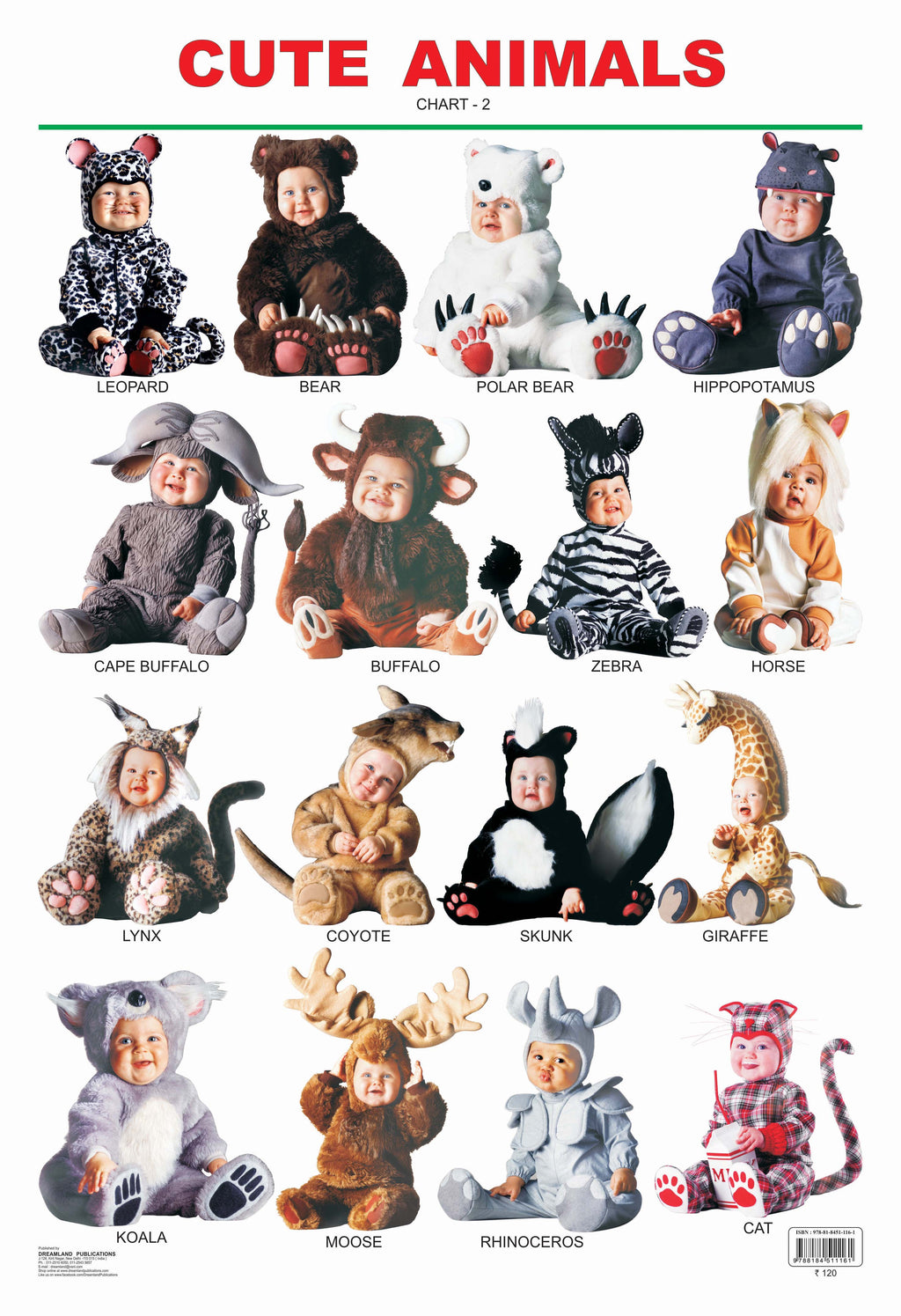 Dreamland Publications Educational Chart for Kids - Cute Animals - 2. | Grocsy