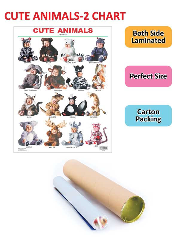 Dreamland Publications Educational Chart for Kids - Cute Animals - 2. | Grocsy